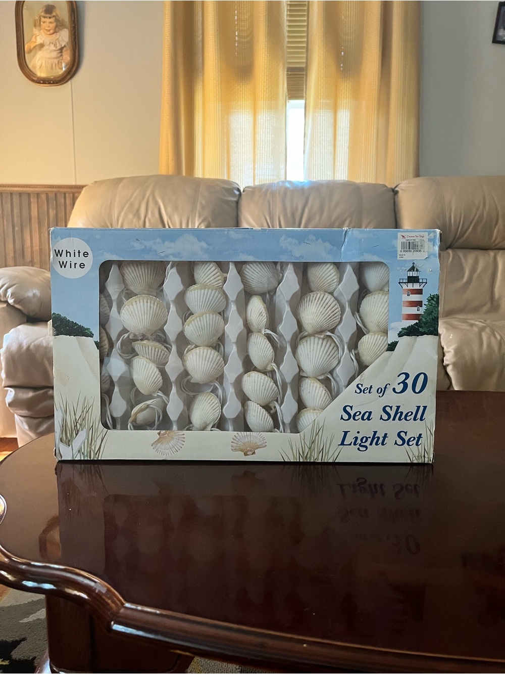 Christmas Tree Shop Set of 30 Sea Shell Light Set - White Shells